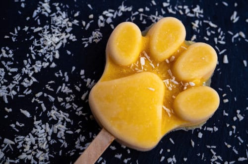 Hundeeis Mango in Pfotenform