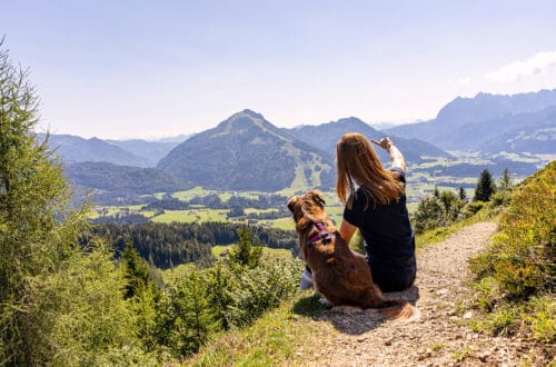 Kaisergebirge mit Hund